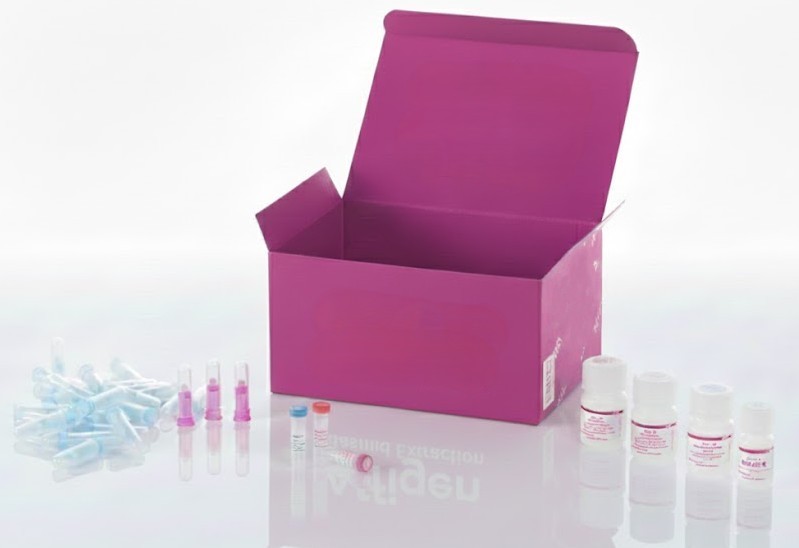 [0131-CR1001b] Cáncer múltiple de cuello uterino con matriz de tejido cervical, incluyendo grado patológico, TNM y estadios clínicos, 50 casos/100 núcleos